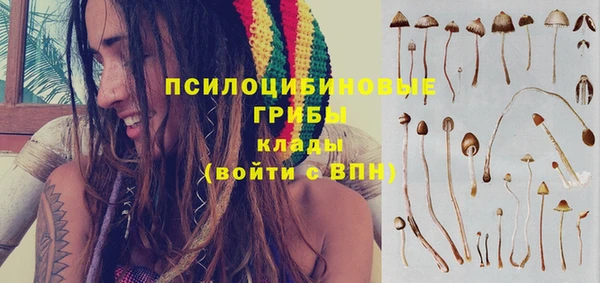 альфа пвп Нефтекумск