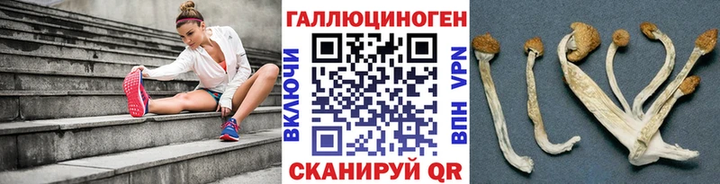 Галлюциногенные грибы мицелий  Ильский 